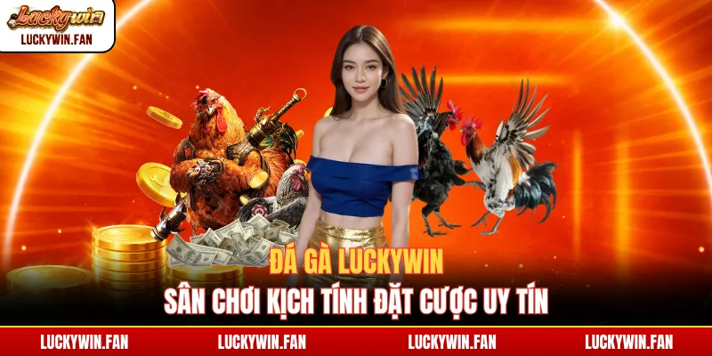 Đá gà luckywin