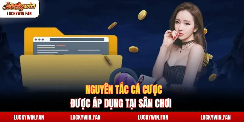Nguyên tắc cá cược được áp dụng tại sân chơi