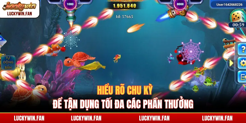 Hiểu rõ chu kỳ để tận dụng tối đa các phần thưởng