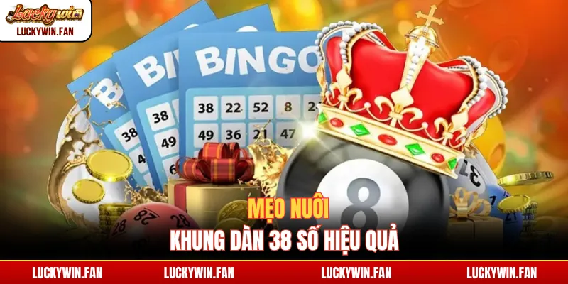 Mẹo nuôi khung dàn 38 số hiệu quả