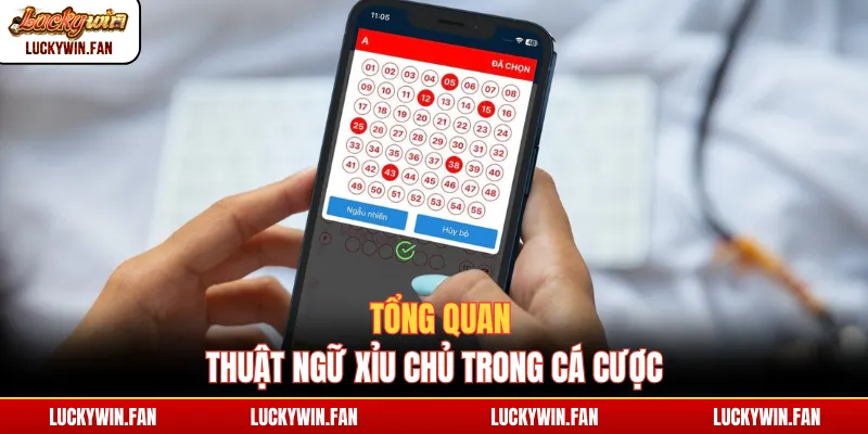 Tổng quan thuật ngữ xỉu chủ trong cá cược